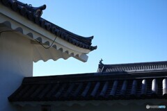 秋空に映える軒丸瓦