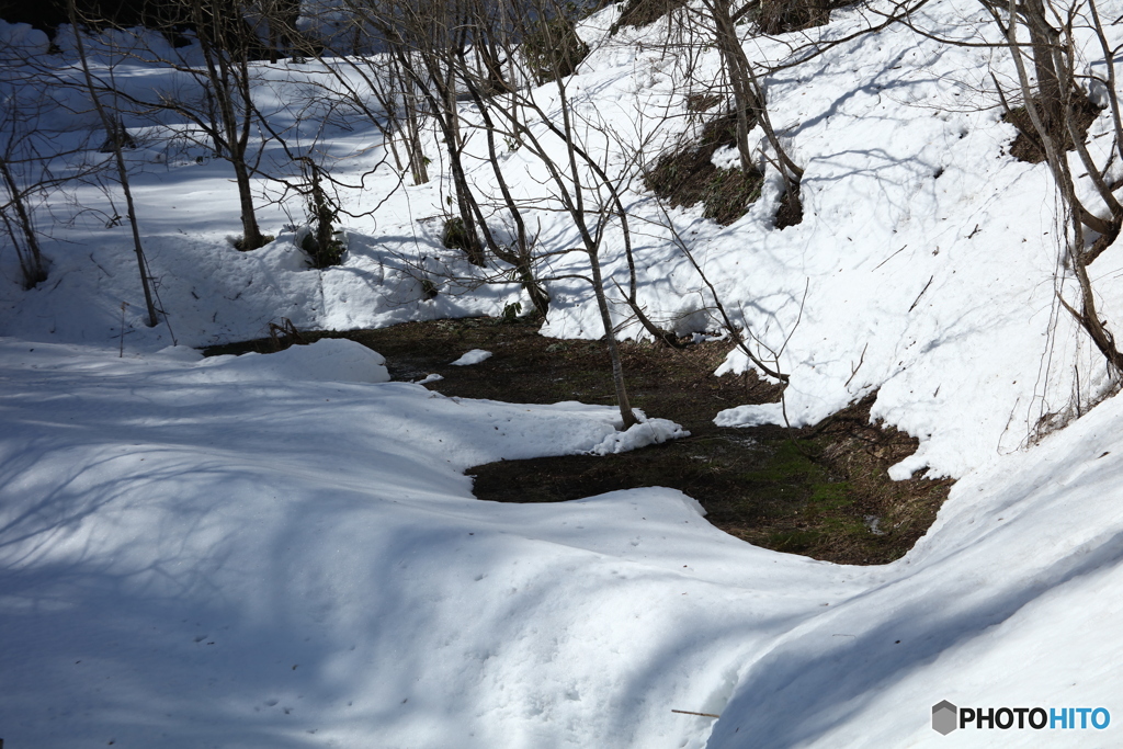 雪解け