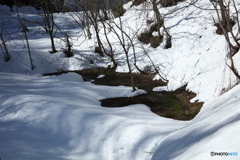 雪解け