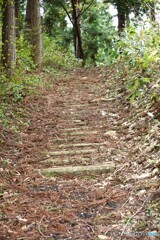 春の山道