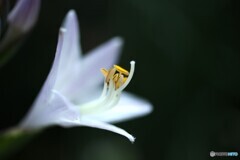 爽やかな時