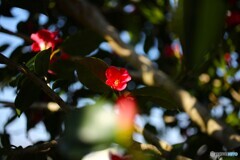 変化の激しい天候の中でも