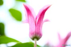 昇天