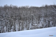 静寂の中で