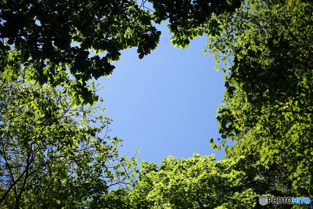 夏空