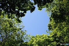 夏空
