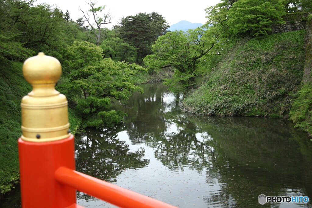 新緑盛り