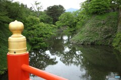新緑盛り