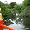 新緑盛り
