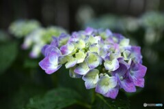 耀く時