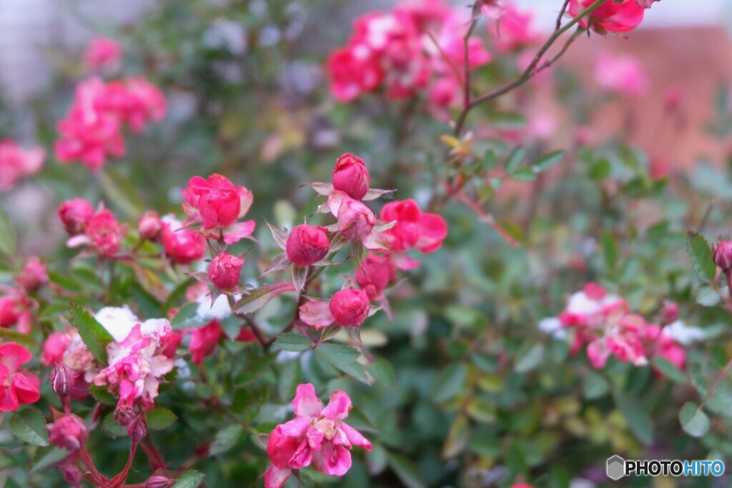 寒さの中の集い