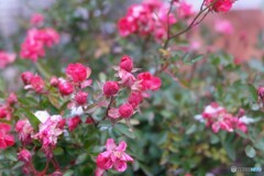 寒さの中の集い