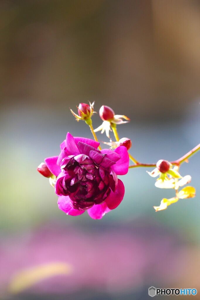 寒さに負けない