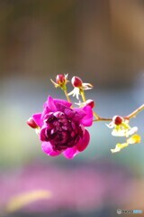 寒さに負けない