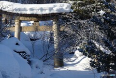 閉ざされた山門