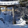 閉ざされた山門