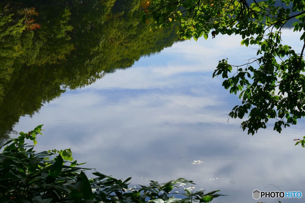 覗く秋空