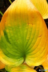 今年はここまで