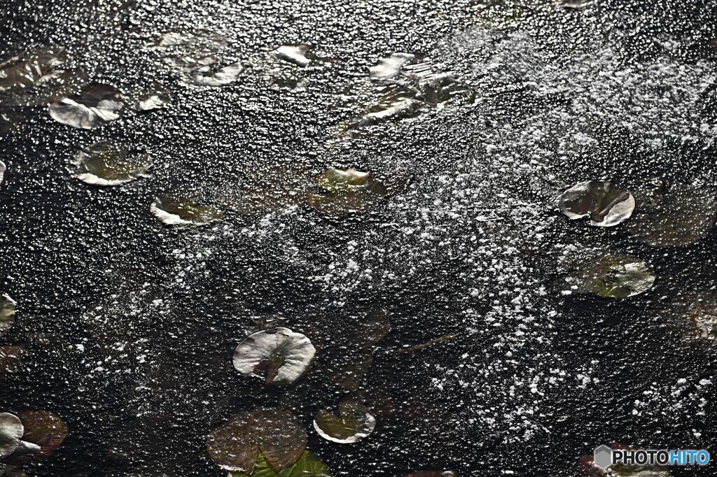 氷の世界