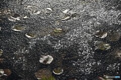 氷の世界