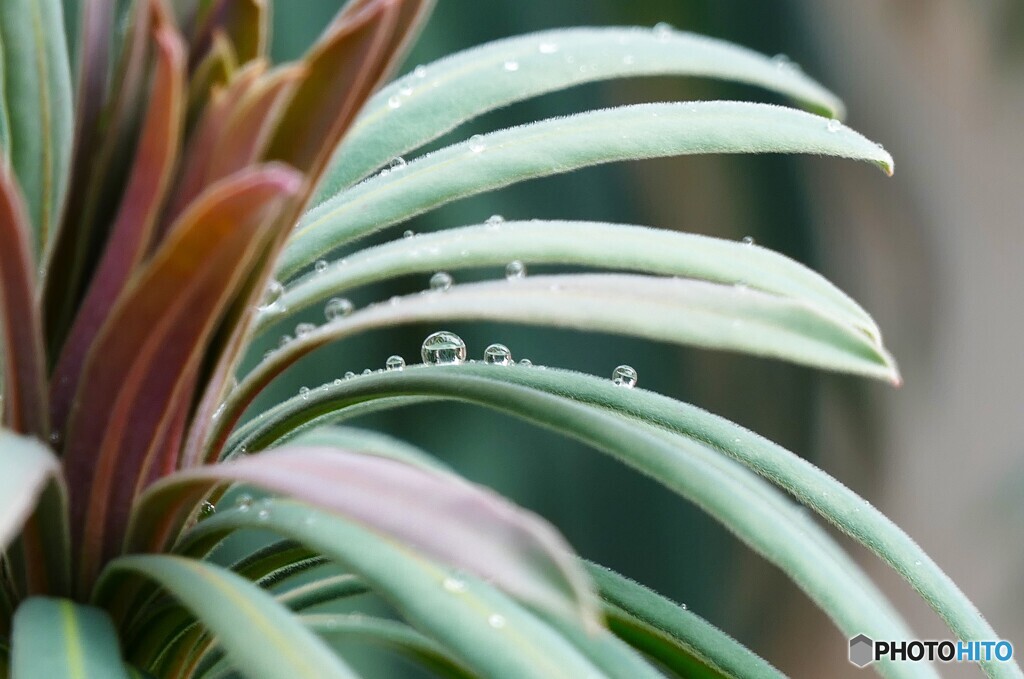 思い出ポロポロ