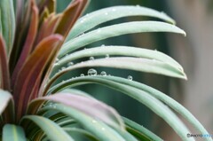 思い出ポロポロ