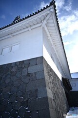 凛