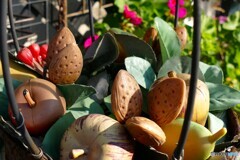 ｶﾞｰﾃﾞﾝﾊﾞｽｹｯﾄ