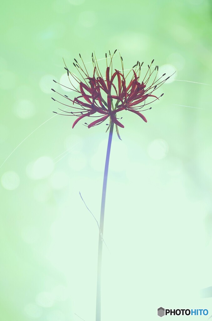 物憂い時