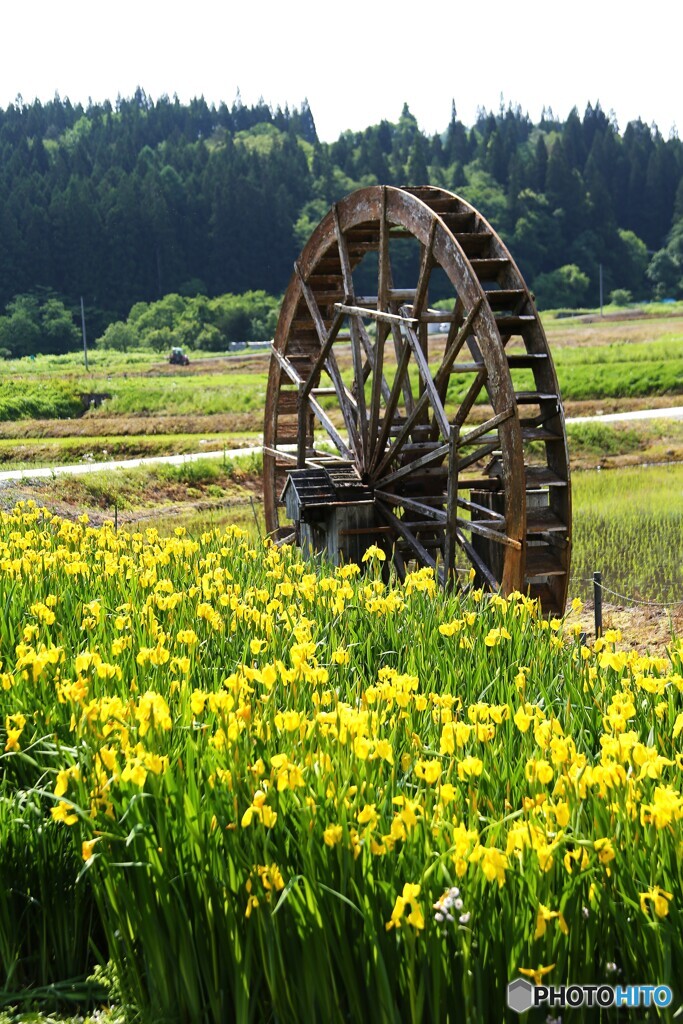 田園
