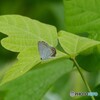 そっとしてて
