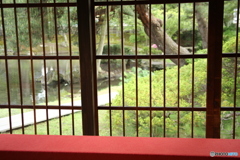 格子越しの庭園