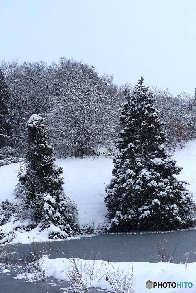 雪衣