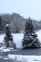 雪衣