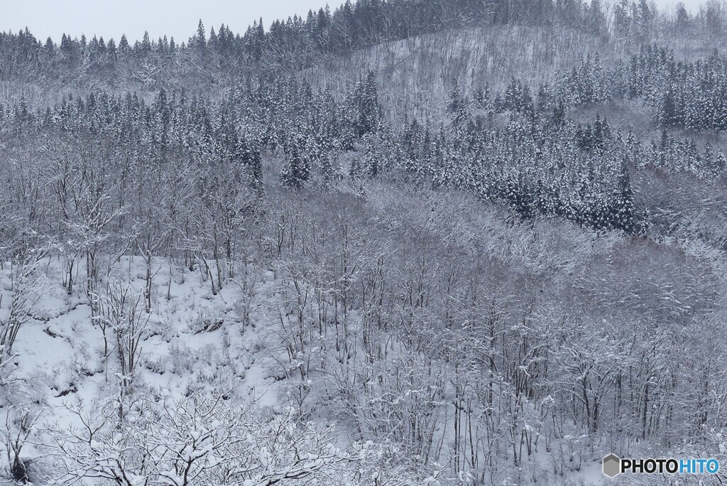 林立