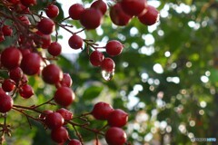 小さなウィンク