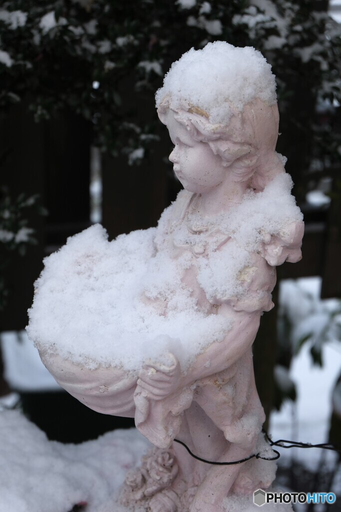 こんなに集めたの