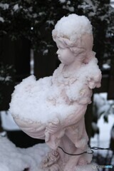 こんなに集めたの