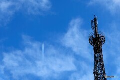 冬空を突き破り