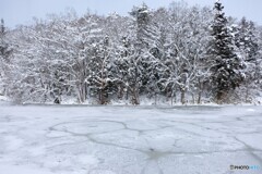 結氷モノトーン