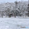 結氷モノトーン