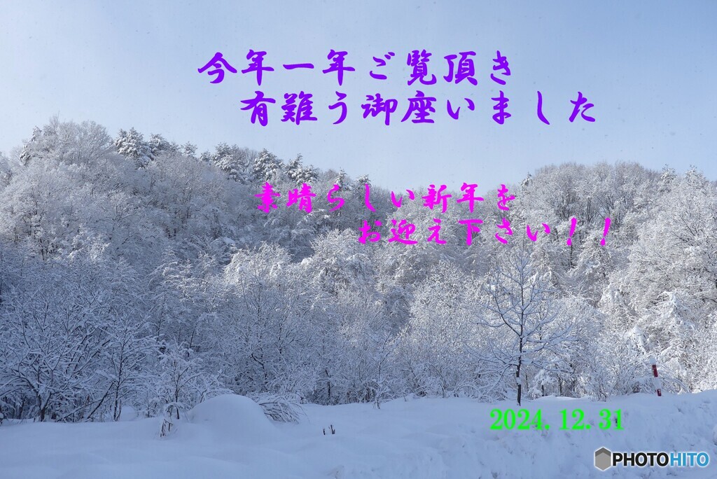 恵の陽
