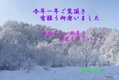恵の陽