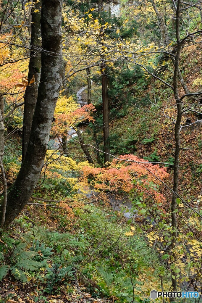 小さな渓谷の晩秋