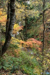 小さな渓谷の晩秋