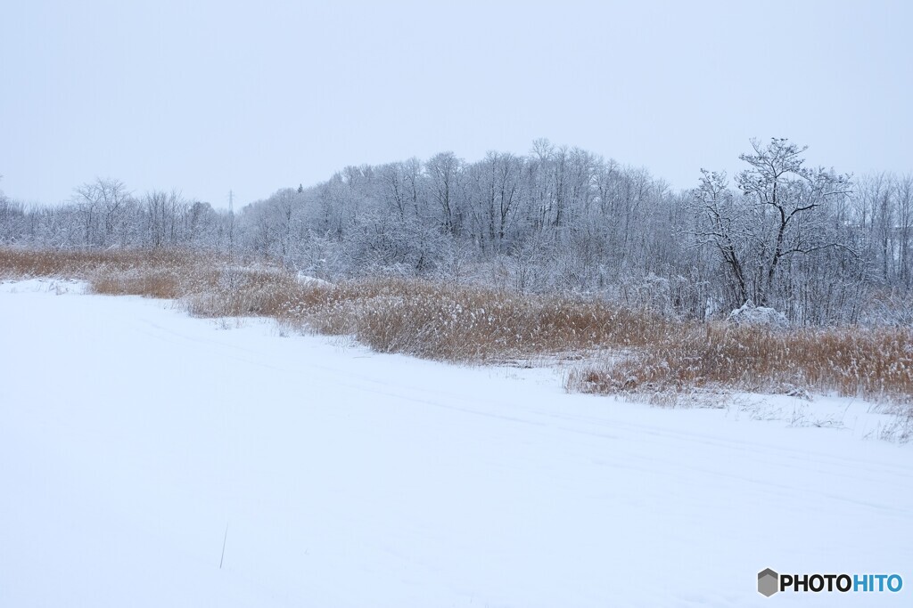 一時降り止んで