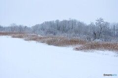 一時降り止んで