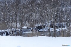 春待つ川岸