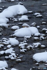雪衣