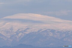 冬陽に照らされて